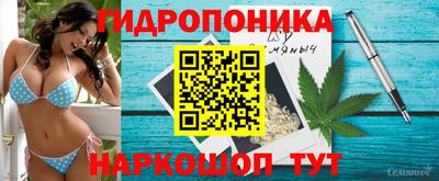 меф Кингисепп