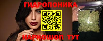 меф Кингисепп