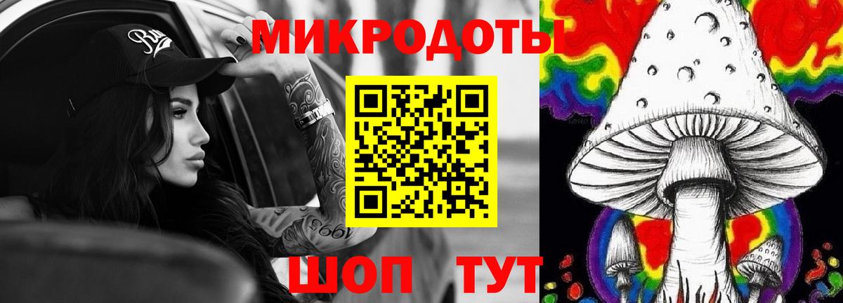 цены наркотик  Псилоцибиновые грибы Psilocybe  Вход с VPN  Чистополь  Галлюциногенные грибы прущие грибы 